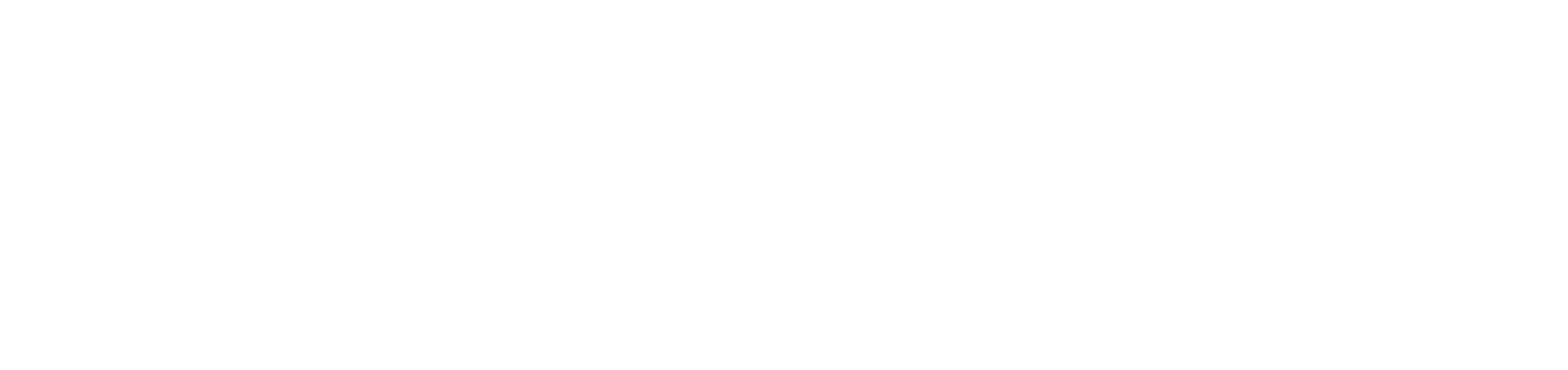 the collectible store